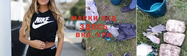 прущие грибы Володарск