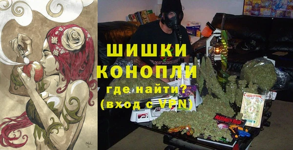 прущие грибы Володарск
