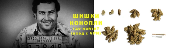 прущие грибы Володарск