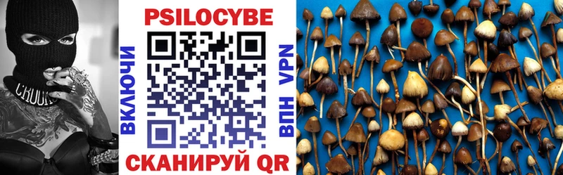 hydra ТОР  Володарск  Псилоцибиновые грибы GOLDEN TEACHER 